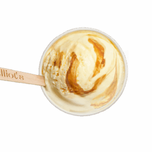 Elliot's vegan douhua tofu pudding ice cream