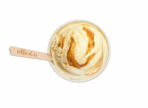 Elliot's vegan douhua tofu pudding ice cream